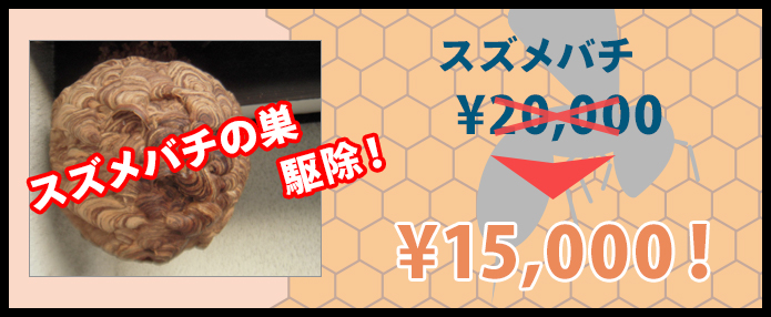 スズメバチの巣駆除 ¥15,000～！